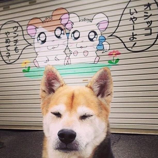 熊猫体育网站入口-数字体育推动中国足球迈向智能化、信息化，数字体育市场