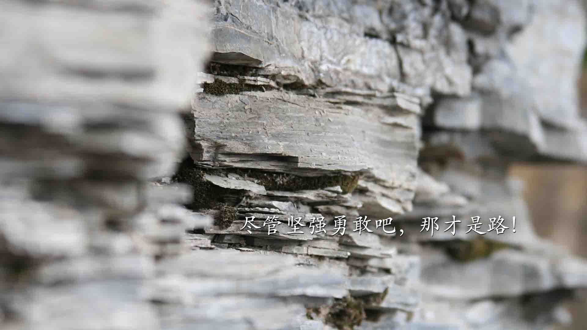 克罗地亚队在巴黎奥运会手球比赛中以31_33惜败西班牙队，克罗地亚男足进奥运会了吗
