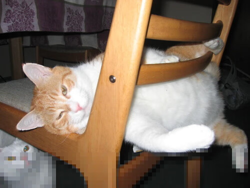 火箭战术发布会公布打法变化,火箭xjbd战术