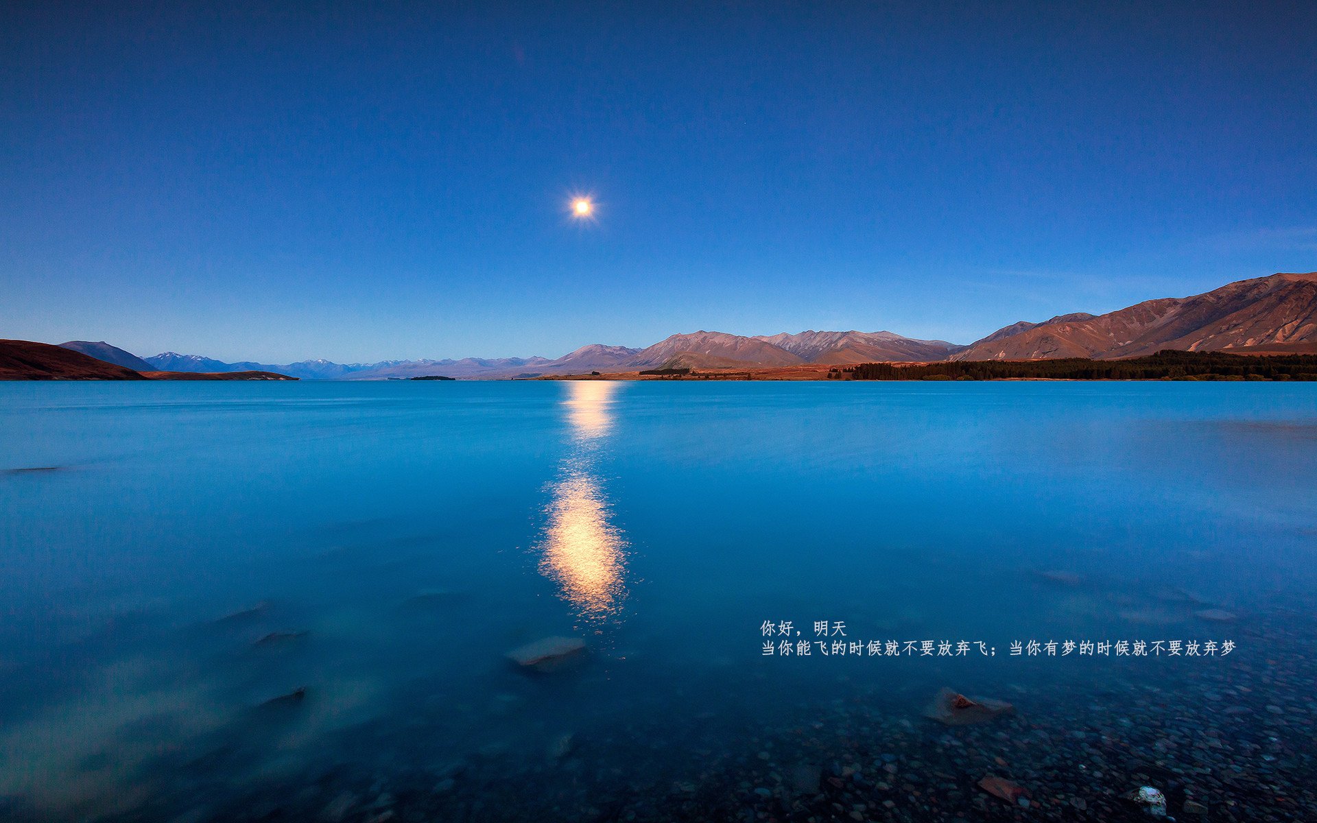 英超争冠之夜:悬念不断,精彩不断!,英超夺冠热门